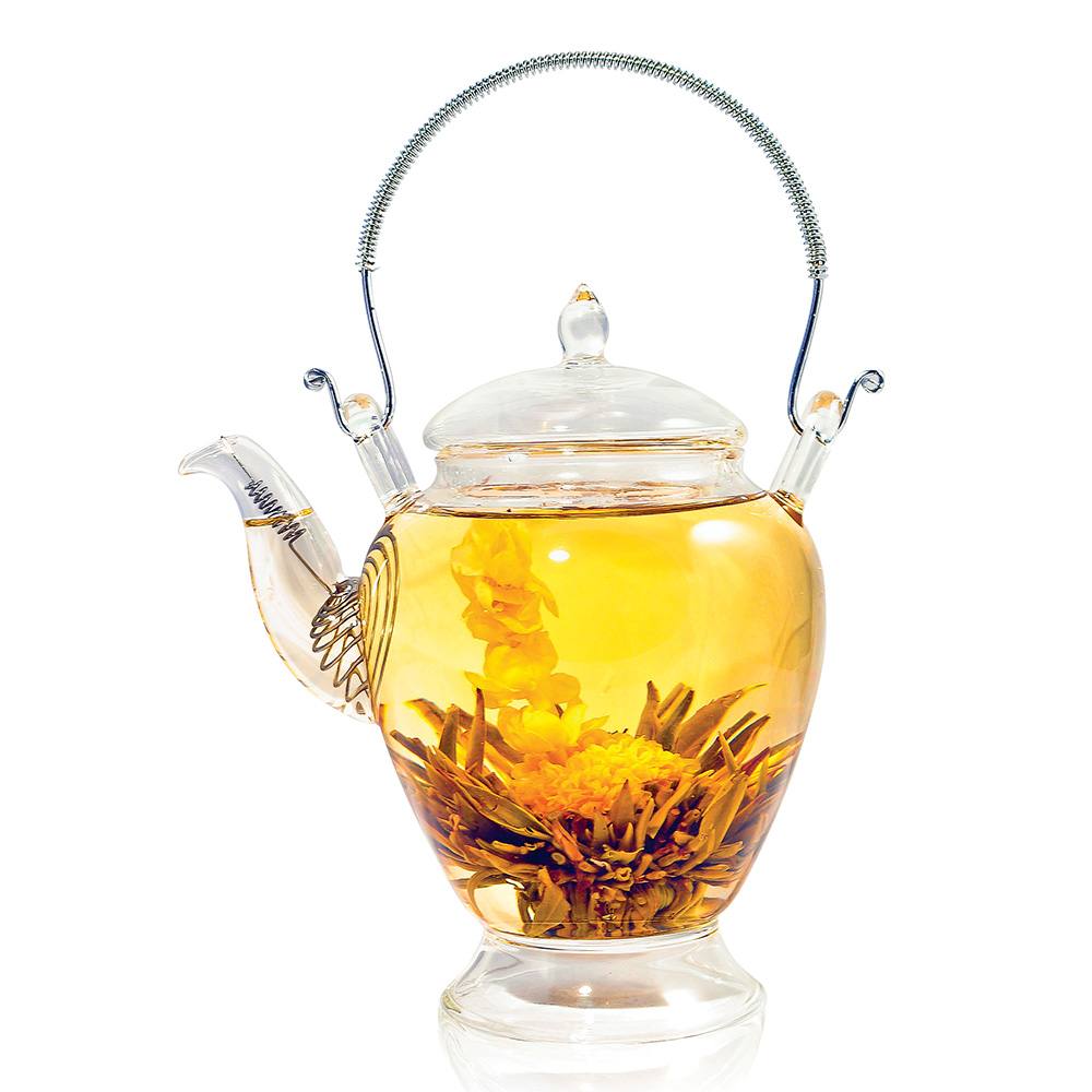 Water Garden Glass Teapot (450ml)