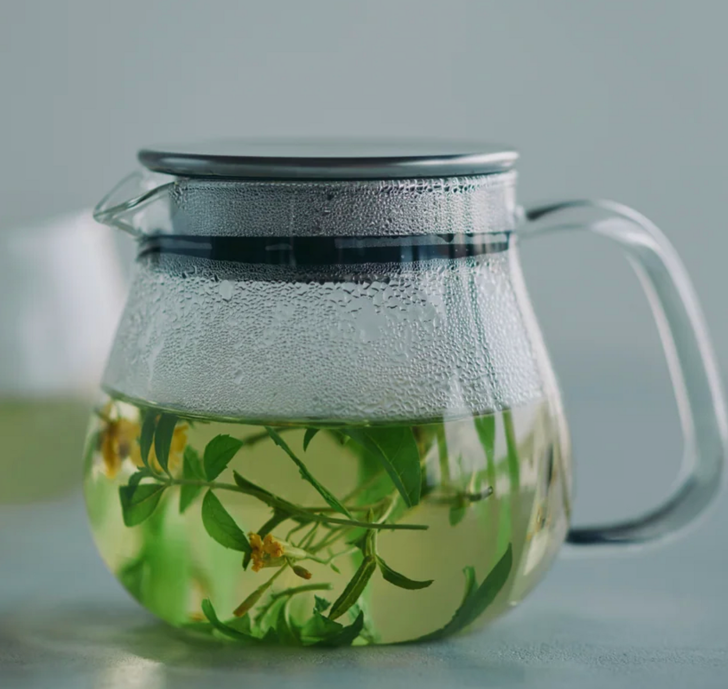 
                  
                    Kinto One Touch Teapot
                  
                