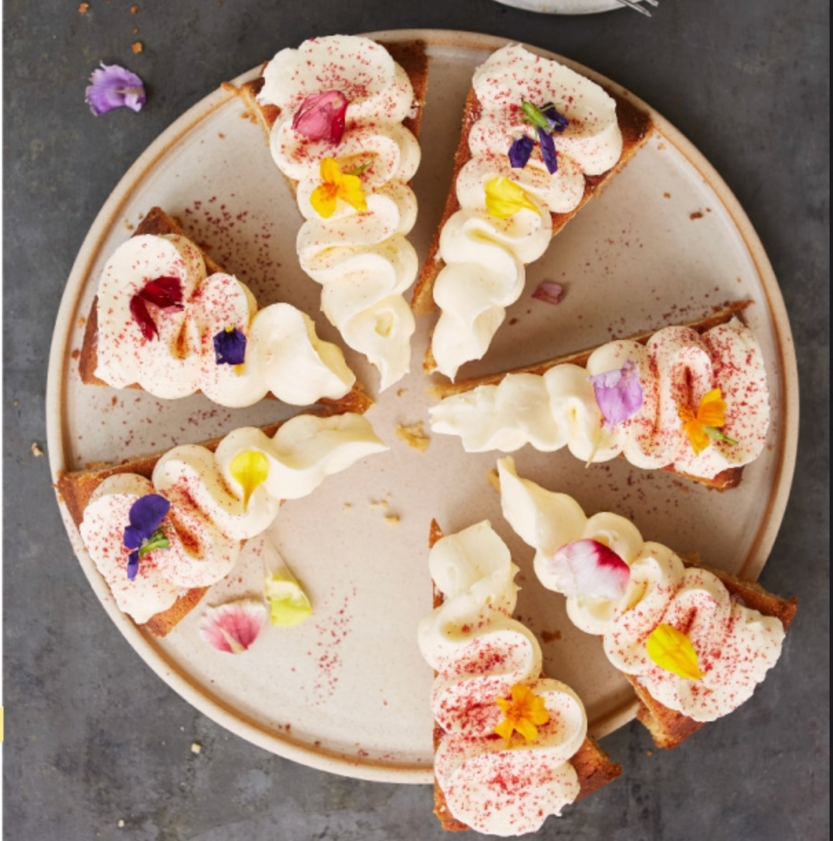 
                  
                    I Want To Eat Cake
                  
                