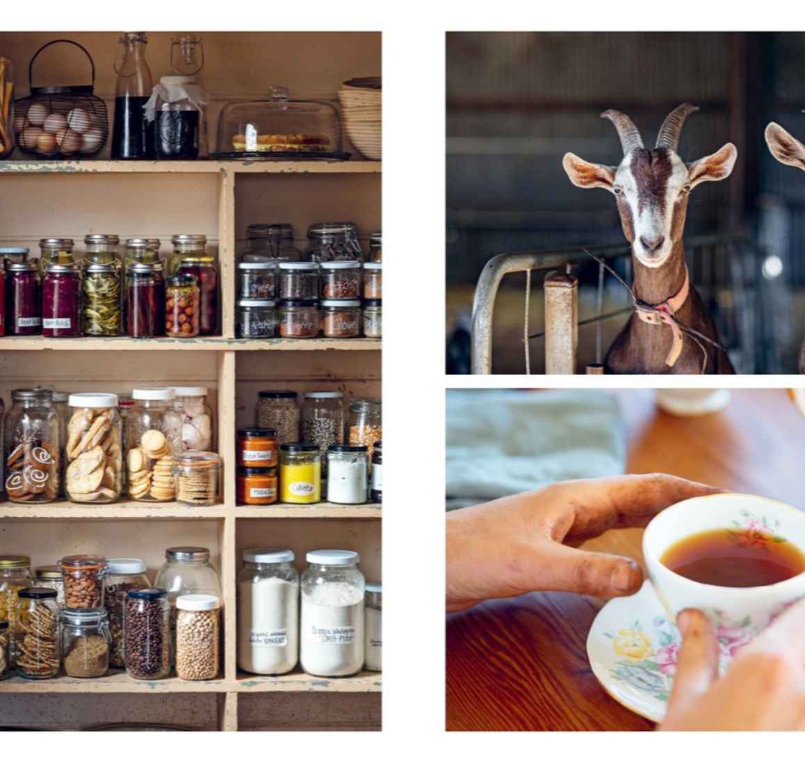 From Scratch – The Berry Tea Shop