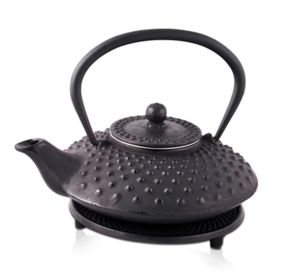 Fuyu Black Cast Iron Teapot